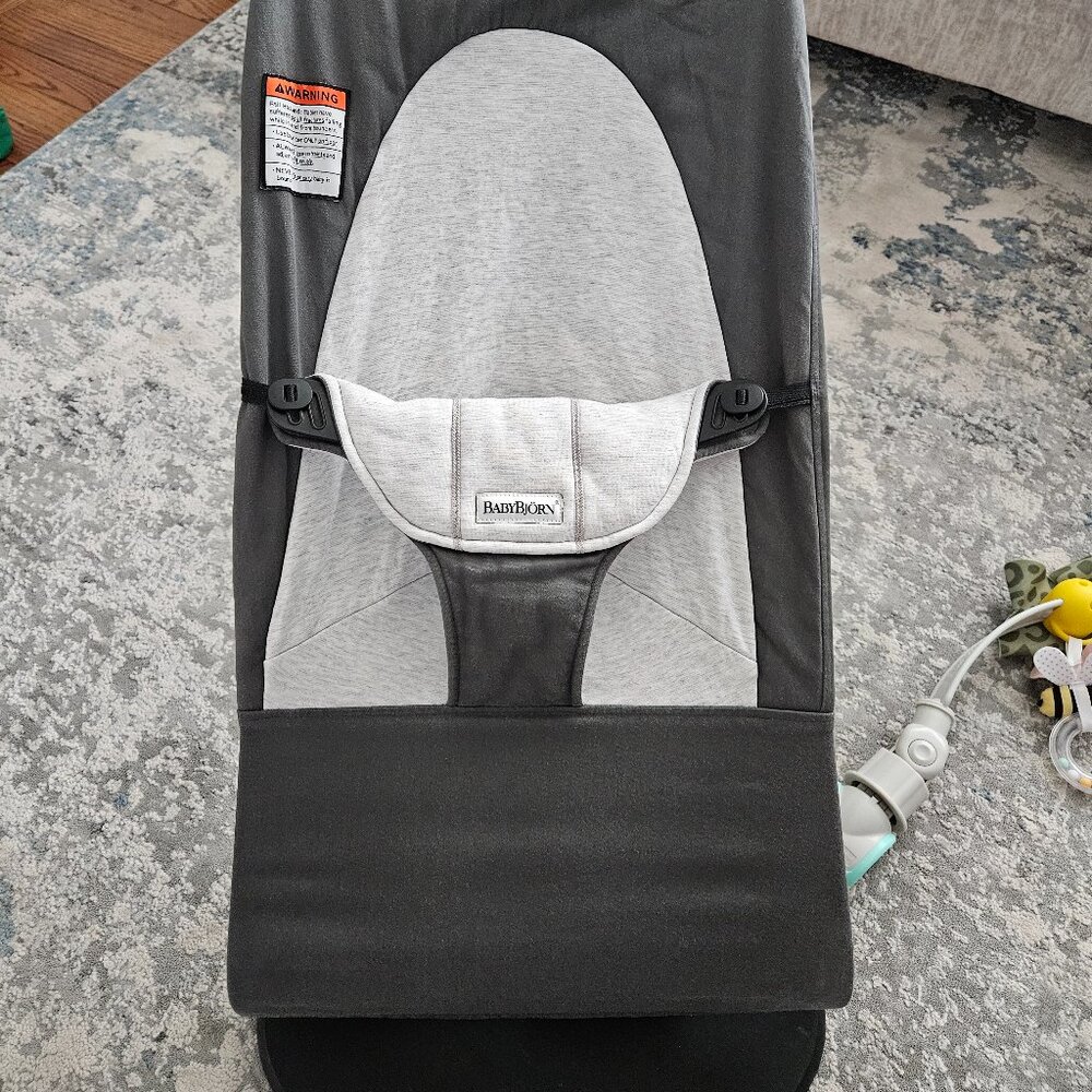 BabyBjorn Balance Soft Bouncer